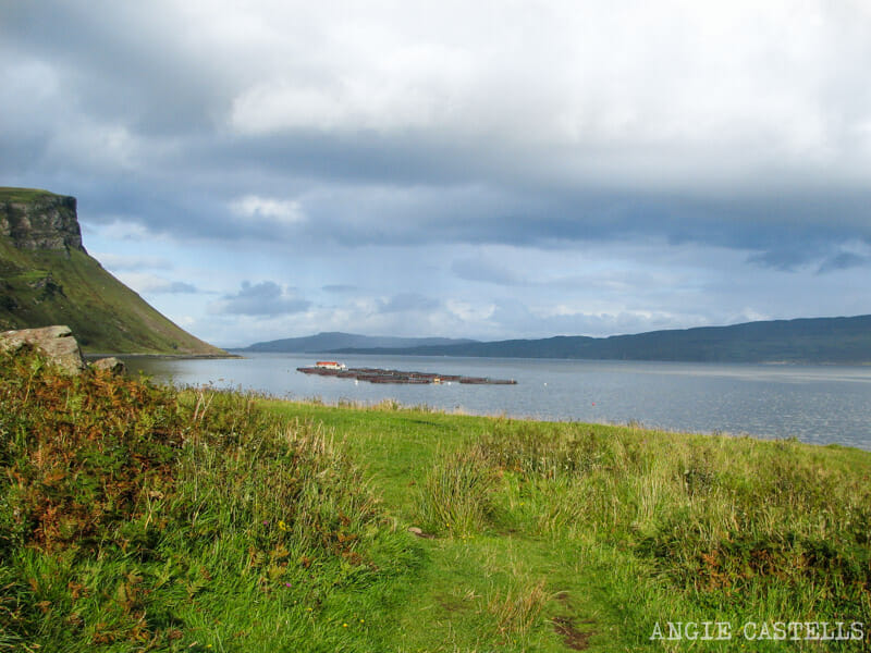 Visitar Portree Isla de Skye Excursion